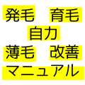 発毛 育毛 自力 薄毛 改善 マニュアル